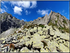 foto Forcella di Val Regana